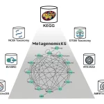 Unveiling MetagenomicKG: A Pioneering Knowledge Graph for Metagenomics Exploration