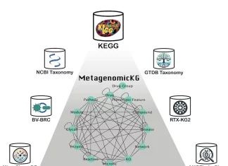 Unveiling MetagenomicKG: A Pioneering Knowledge Graph for Metagenomics Exploration Unveiling MetagenomicKG: A Pioneering Knowledge Graph for Metagenomics Exploration