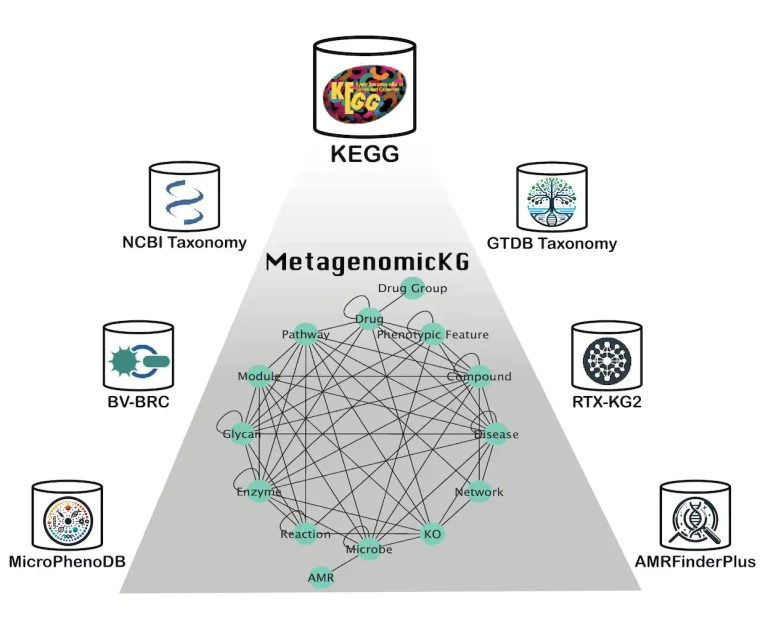 Unveiling MetagenomicKG: A Pioneering Knowledge Graph for Metagenomics Exploration