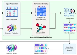 A New Era in Enzyme Design: How NeuroFold Integrates Multimodal Data for Enzyme Variants Generation A New Era in Enzyme Design: How NeuroFold Integrates Multimodal Data for Enzyme Variants Generation