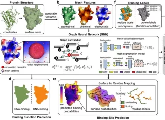 Revolutionizing Protein-Nucleic Acid Binding Prediction with PNAbind: A Graph Neural Network Approach