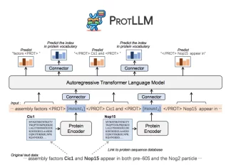 Unveiling PROTLLM: The Next Generation Cross-Modal Large Language Model for Protein-Centric and Language Tasks UnveilingProtLLM: The Next Generation Cross-Modal Large Language Model for Protein-Centric and Language Tasks