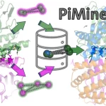 Meet PiMine: A Database-Driven Approach for Inspecting Protein-Protein Interactions