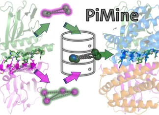 Meet PiMine: A Database-Driven Approach for Protein-Protein Interface Similarity Detection Meet PiMine: A Database-Driven Approach for Inspecting Protein-Protein Interactions