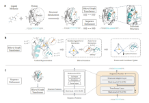 PocketGen: A Novel Deep Generative Model for Designing Protein Binding Sites PocketGen: A Novel Deep Generative Model for Designing Protein Binding Sites