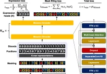 Unraveling Genetic Mysteries with Proformer: A Hybrid Macaron Transformer Model Unraveling Genetic Mysteries with Proformer: A Hybrid Macaron Transformer Model