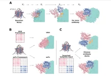 Creating Antibodies from Scratch: Scientists Design Single-Domain Antibodies with Atomic Precision Using AI Creating Antibodies from Scratch: Scientists Design Single-Domain Antibodies with Atomic Precision Using AI