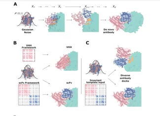 Creating Antibodies from Scratch: Scientists Design Single-Domain Antibodies with Atomic Precision Using AI Creating Antibodies from Scratch: Scientists Design Single-Domain Antibodies with Atomic Precision Using AI