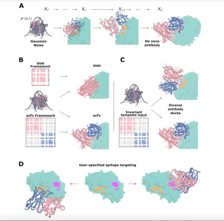 Creating Antibodies from Scratch: Scientists Design Single-Domain Antibodies with Atomic Precision Using AI