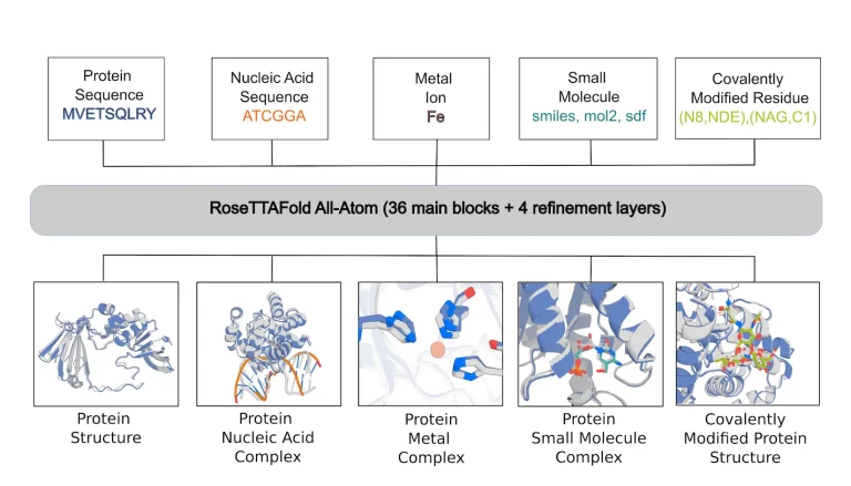 Exploring the Boundless Frontiers of Biomolecular Modeling and Design with RoseTTAFold All-Atom