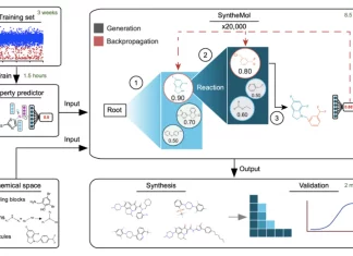 AI vs. Superbugs: A New Generative AI Model ‘SyntheMol’ Designs Powerful Antibiotics to Fight Resistant Bacteria AI vs. Superbugs: A New Generative AI Model 'SyntheMol' Designs Powerful Antibiotics to Fight Resistant Bacteria