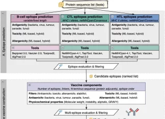 A New Weapon in the Public Health Arsenal: VaccineDesigner Simplifies Epitope-based Vaccine Design A New Weapon in the Public Health Arsenal: VaccineDesigner Simplifies Epitope-based Vaccine Design