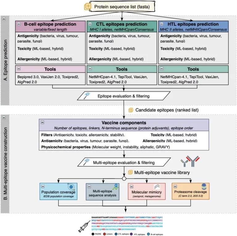 A New Weapon in the Public Health Arsenal: VaccineDesigner Simplifies Epitope-based Vaccine Design