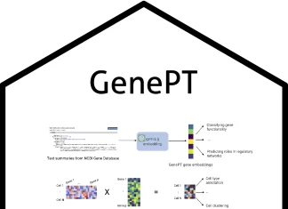 Decoding Genes and Cells with GenePT: A Simple Yet Powerful Foundation Model Leveraging ChatGPT Decoding Genes and Cells with GenePT: A Simple Yet Powerful Foundation Model Leveraging ChatGPT