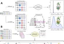 Brown University’s Subsampled AlphaFold2 Approach for Predicting Protein Dynamics: A Game-changer for Drug Discovery? Brown University's Subsampled AlphaFold2 Approach for Predicting Protein Dynamics: A Game-changer for Drug Discovery?