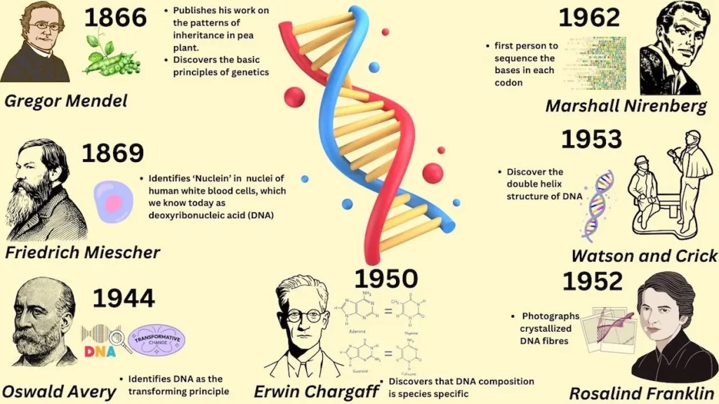 The Molecule That Changed Everything: The Story of DNA