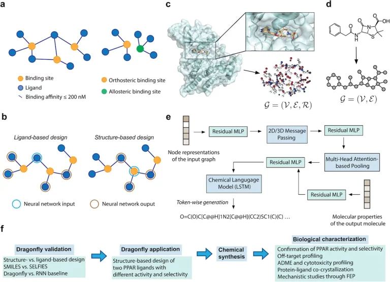 ETH Zurich Chemists Unveil DRAGONFLY: New AI Approach for Rapid Drug Design from Protein Structures