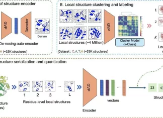 Decoding Proteins with DeProt: A Breakthrough in Language Modeling through Quantized Structure and Disentangled Attention Decoding Proteins with DeProt: A Breakthrough in Language Modeling through Quantized Structure and Disentangled Attention