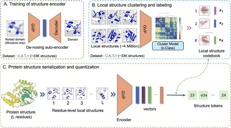 Decoding Proteins with DeProt: A Breakthrough in Language Modeling through Quantized Structure and Disentangled Attention