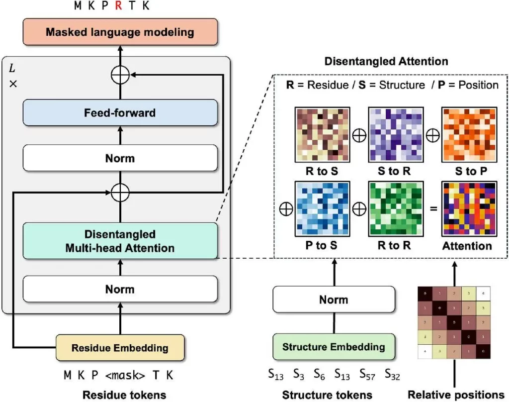 Decoding Proteins with DeProt: A Breakthrough in Language Modeling through Quantized Structure and Disentangled Attention