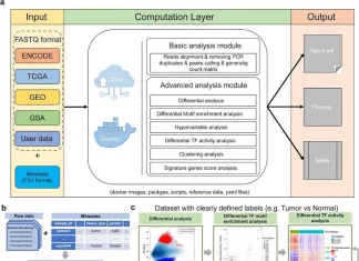 Supercharge Epigenomic Workflows with EAP: A Cloud-Based Platform for Comprehensive and Interactive Analysis of Large ChIP/ATAC-seq Datasets Supercharge Epigenomic Workflows with EAP: A Cloud-Based Platform for Comprehensive and Interactive Analysis of Large ChIP/ATAC-seq Datasets