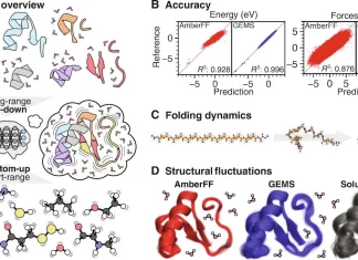 GEMS: DeepMind’s Novel Approach to Accurate Biomolecular Dynamics through Machine-Learned Quantum-Mechanical Force Fields GEMS: DeepMind's Novel Approach to Accurate Biomolecular Dynamics through Machine-Learned Quantum-Mechanical Force Fields