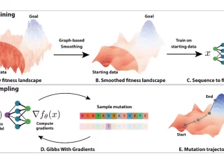 Breakthrough in Protein Design: MIT Researchers Develop Computational Approach for Easier Protein Engineering Gibbs sampling with Graph-based Smoothing, or GGS