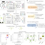 Decoding the Regulatory Landscape with LINGER: A New Era in Gene Regulatory Networks Inference