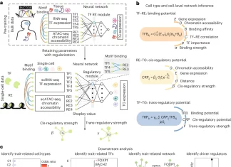 Decoding the Regulatory Landscape with LINGER: A New Era in Gene Regulatory Networks Inference Decoding the Regulatory Landscape with LINGER: A New Era in Gene Regulatory Networks Inference