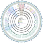 Deciphering the Genetic Blueprint: Groundbreaking Research Reveals Genomic Factors Driving Monkeypox Virus Transmissibility