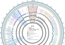 Deciphering the Genetic Blueprint: Groundbreaking Research Reveals Genomic Factors Driving Monkeypox Virus Transmissibility Deciphering the Genetic Blueprint: Groundbreaking Research Reveals Genomic Factors Driving Monkeypox Virus Transmissibility