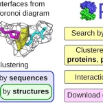 PPI3D: A Comprehensive Web Server to Explore, Analyze, and Model Protein-Protein, Protein-Peptide, and Protein-Nucleic Acid Interactions