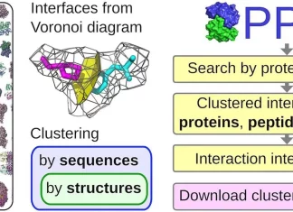Unleash the Power of PPI3D: A Comprehensive Web Server to Explore, Analyze, and Model Protein-Protein, Protein-Peptide, and Protein-Nucleic Acid Interactions PPI3D: A Comprehensive Web Server to Explore, Analyze, and Model Protein-Protein, Protein-Peptide, and Protein-Nucleic Acid Interactions