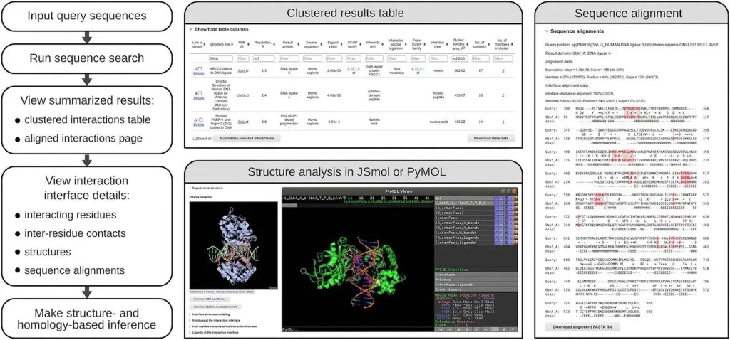 PPI3D: A Comprehensive Web Server to Explore, Analyze, and Model Protein-Protein, Protein-Peptide, and Protein-Nucleic Acid Interactions