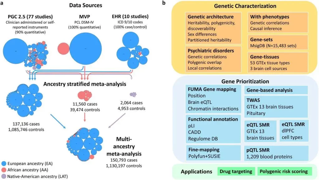 Unlocking the Genetic Basis of PTSD: Discovery of 95 Loci Reveal Neurobiological Underpinnings of Trauma and Stress
