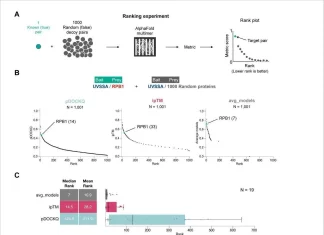 A New Era in Interactomics: Exploring Predictomes, the AlphaFold-Modeled Protein Interaction Database A New Era in Interactomics: Exploring Predictomes, the AlphaFold-Modeled Protein Interaction Database
