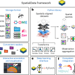 SpatialData: A Universal Framework for Handling Spatial Omics Analysis