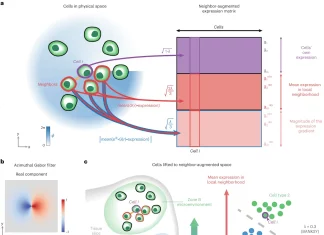 Faster, More Accurate Spatial Omics: How BANKSY Streamlines Data Analysis Faster, More Accurate Spatial Omics: How BANKSY Streamlines Data Analysis