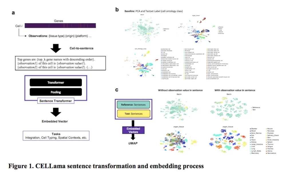 Unveiling the Future of Transcriptomics: CELLama - A Foundation Model Revolutionizing Single Cell and Spatial Analysis