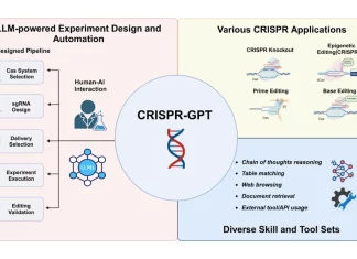 AI-Assisted Gene Editing: CRISPR-GPT, the Future of Efficient CRISPR Experiment Design AI-Assisted Gene Editing: CRISPR-GPT, the Future of Efficient CRISPR Experiment Design