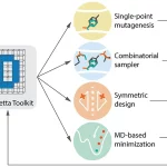 Protein Design Made Easy with Damietta Server: A Comprehensive Toolkit