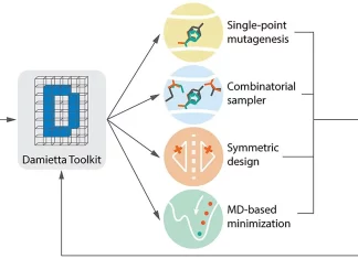 Protein Design Made Easy with Damietta Server: A Comprehensive Toolkit Protein Design Made Easy with Damietta Server: A Comprehensive Toolkit