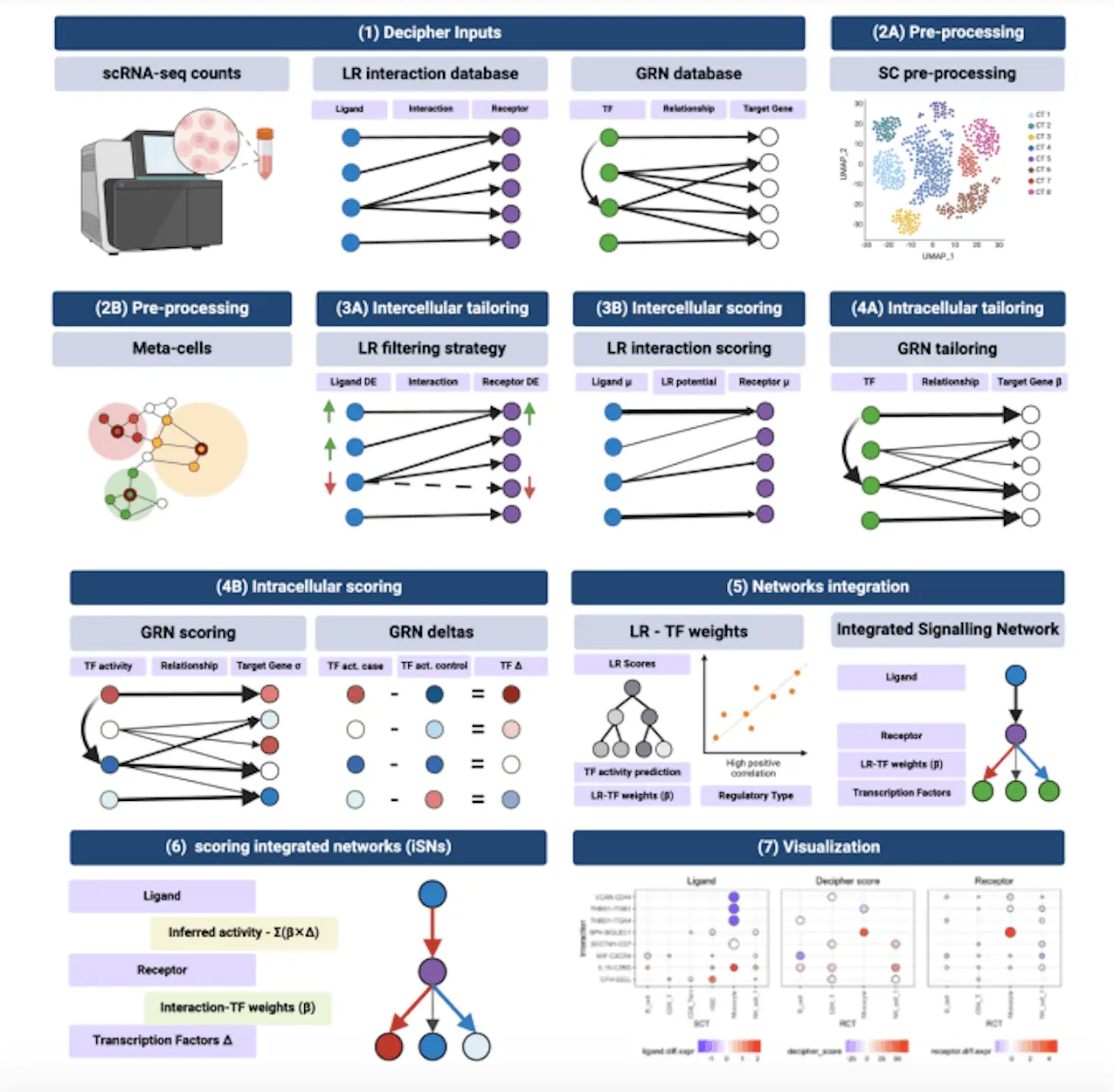 Deciphering the Future with Decipher: A Computational Pipeline for 