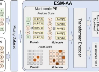 Atom-scale Precision: ESM-AA’s Multi-scale Approach to Unified Molecular Modeling ESM-AA: Multi-Scale Protein Language Model for Unified Molecular Modeling