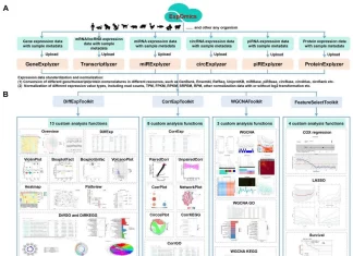 Multi-omics Data Analysis Made Easy with ExpOmics: A Comprehensive Web Platform for Robust Analysis Multi-omics Data Analysis Made Easy with ExpOmics: A Comprehensive Web Platform for Robust Analysis
