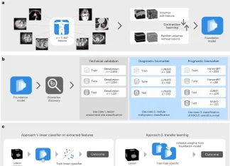 Unleashing the Power of Foundation Models for Cancer Imaging Biomarker Discovery Unleashing the Power of Foundation Models for Cancer Imaging Biomarker Discovery