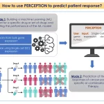 PERCEPTION: An AI tool to precisely match cancer drugs to individual patients, advancing personalized cancer treatment.