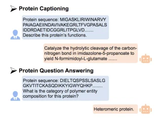 Can We Truly Understand Proteins Through Text? ProtT3 Says Yes! Can We Truly Understand Proteins Through Text? ProtT3 Says Yes!