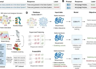ProteinDPO: A Novel Technique for Aligning Generative Protein Models with Experimental Fitness ProteinDPO: A Novel Technique for Aligning Generative Protein Models with Experimental Fitness