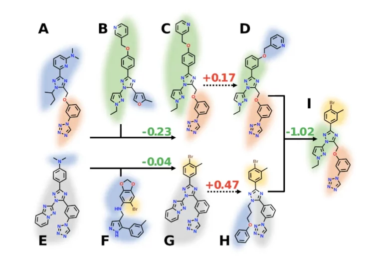 REvoLd: Accelerating Drug Discovery Through Evolutionary Algorithm-Driven Ultra-Large Library Screening in Rosetta